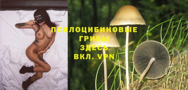 спиды Бронницы