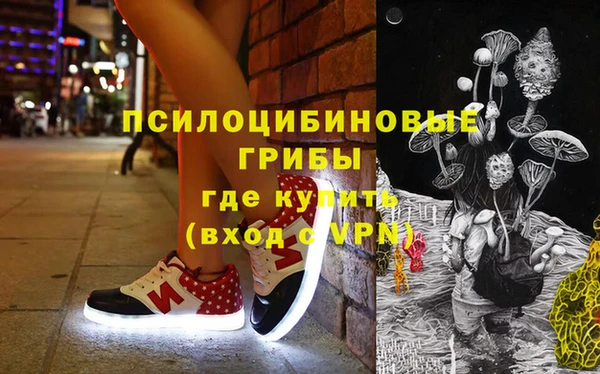 дмт Переславль-Залесский