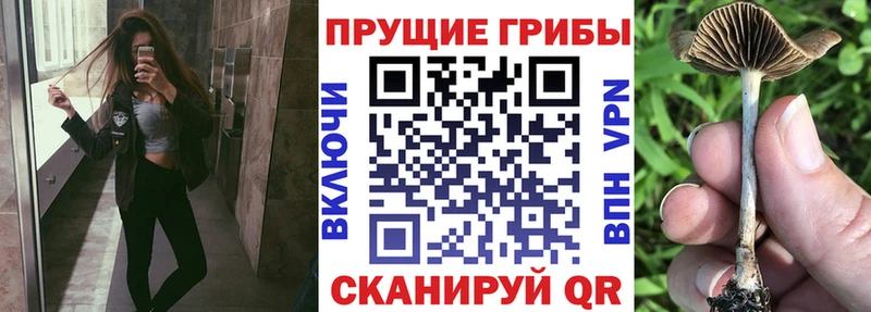 где продают наркотики  Давлеканово  мега вход  Галлюциногенные грибы ЛСД 
